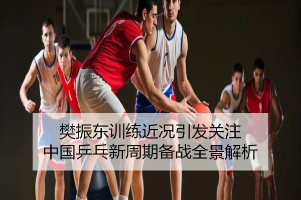 樊振东训练近况引发关注 中国乒乓新周期备战全景解析